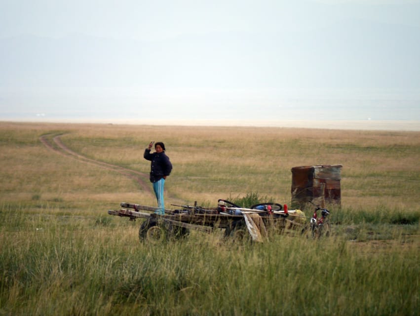 From Ulaanbaatar: Day Trip to Hustai National Park - Weather, clothing, and mobility
