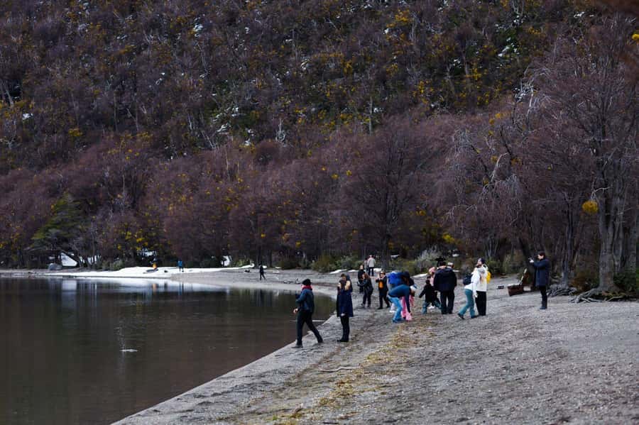 From Ushuaia: Discover Tierra del Fuego National Park - Key points to know before you go