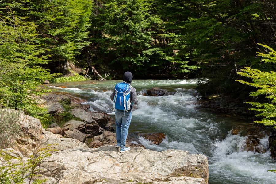 From Ushuaia: Discover Tierra del Fuego National Park - Lake Acigami brings water and forest together