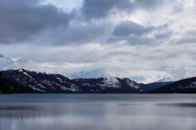 From Ushuaia: Discover Tierra del Fuego National Park