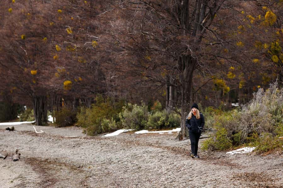 From Ushuaia: Discover Tierra del Fuego National Park - Lapataia Bay and the end of National Route 3