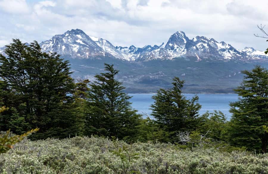 From Ushuaia: Discover Tierra del Fuego National Park - Five hours on a coach: the main practical tradeoff