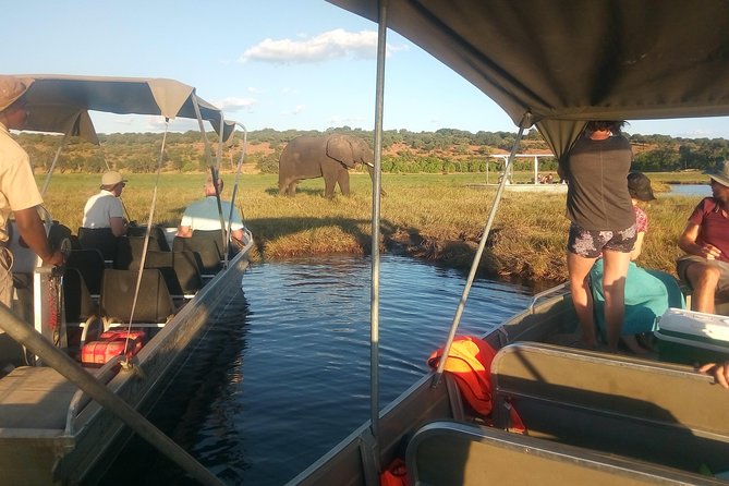 From Victoria Falls: Chobe National Park Small Group Tour - Lunch before the river cruise