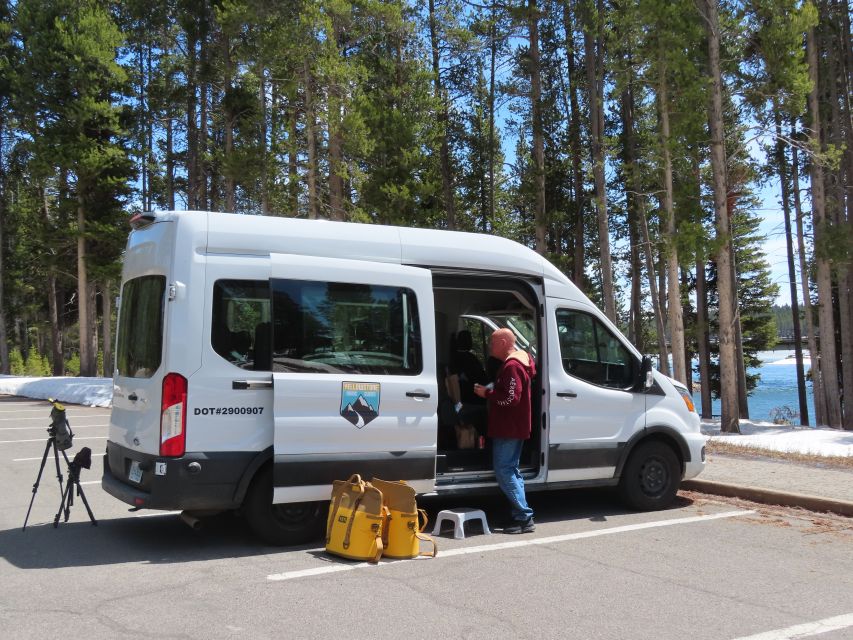 From West Yellowstone: Lamar Valley Wildlife Tour by Van - What the guide adds to the wildlife search