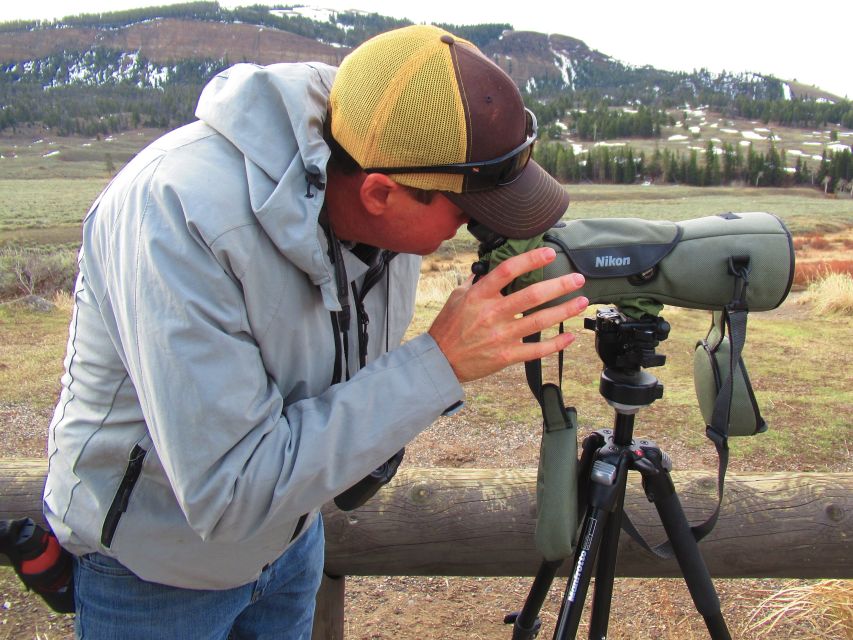 From West Yellowstone: Lamar Valley Wildlife Tour by Van - Price, park entry, and what is included