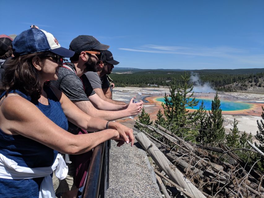 From West Yellowstone: Lower Loop Active Van Tour - Key points to know before you book