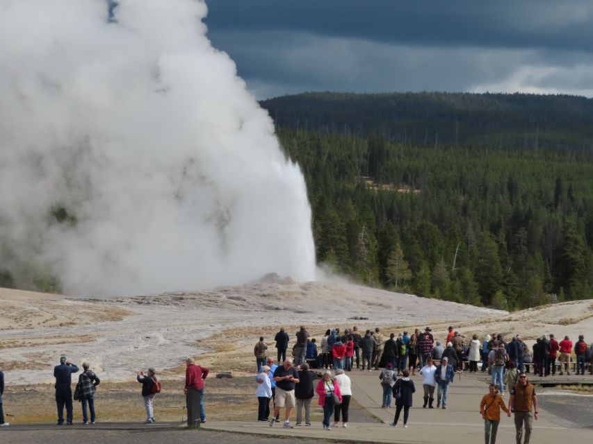 From West Yellowstone: Lower Loop Active Van Tour - Why this Lower Loop tour works so well