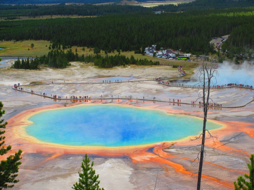 From West Yellowstone: Lower Loop Active Van Tour - Old Faithful and the Old Faithful Inn