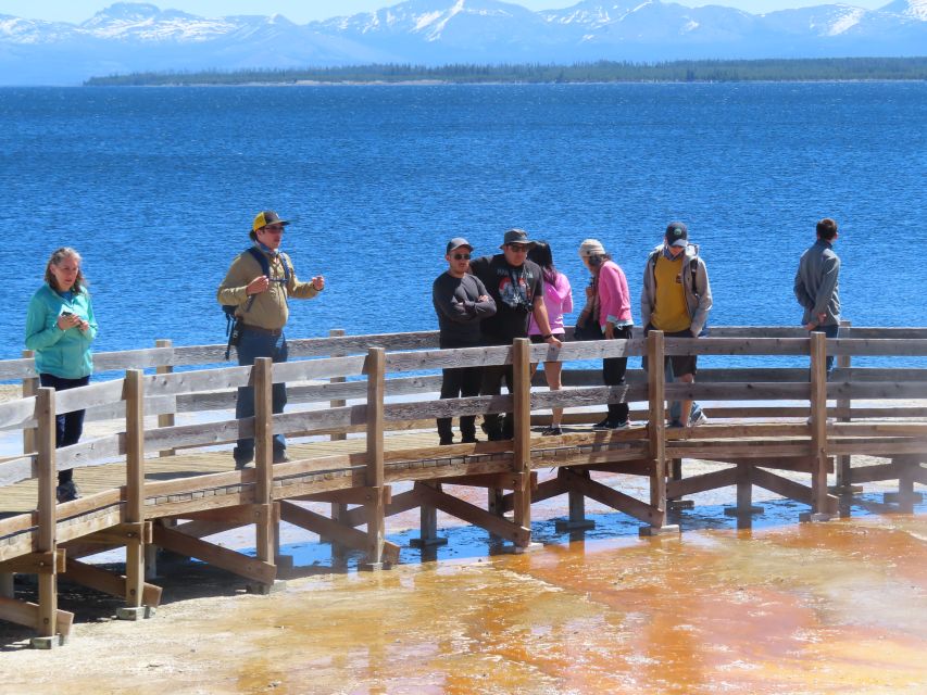From West Yellowstone: Lower Loop Active Van Tour - Yellowstone Lake and a picnic lunch