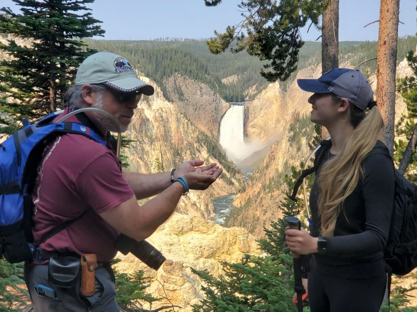 From West Yellowstone: Lower Loop Active Van Tour - Artist Point and the Lower Falls