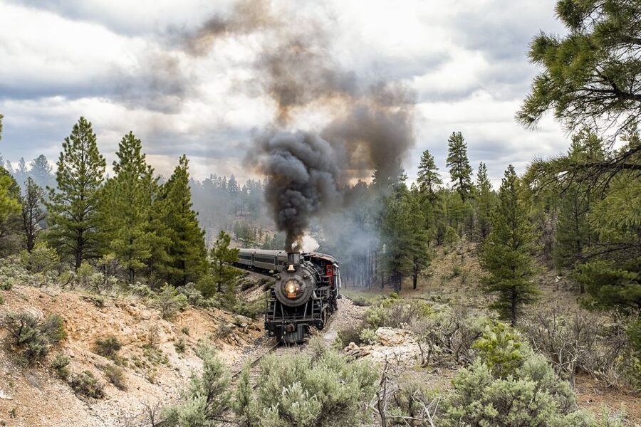 From Williams: Grand Canyon Railway Round-Trip Train Ticket - Coach or first class
