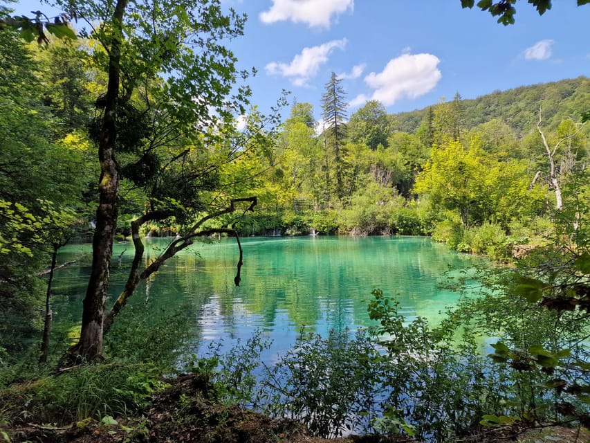 From Zadar: Plitvice Lakes Day Trip with Guide and Boat Tour - The electric boat and panoramic train