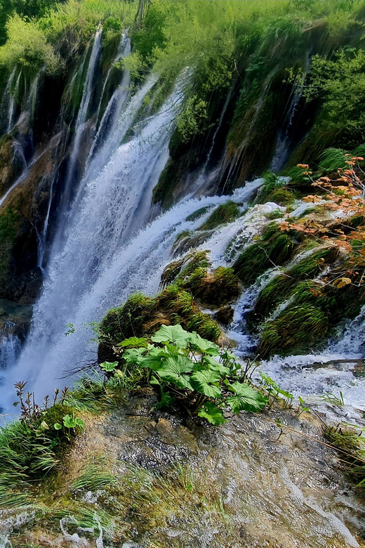 From Zadar: Plitvice Lakes Day Trip with Guide and Boat Tour - Meeting in Zadar and riding to the park