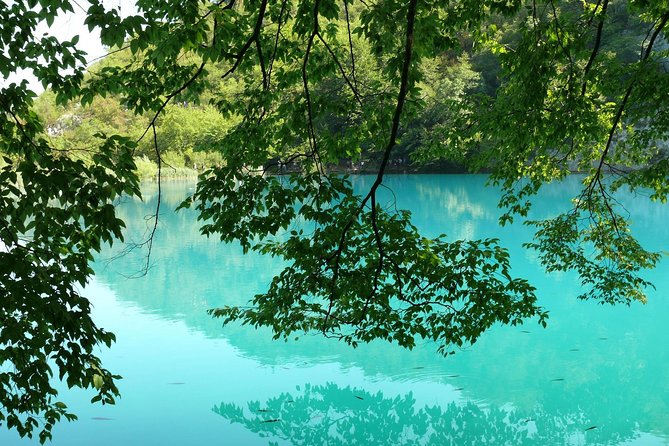 From Zadar: Plitvice Lakes with Boat Ride & Zadar Old town tour - Is $54.42 good value?