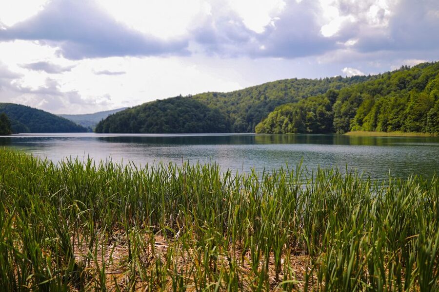 From Zadar: Round-Trip Transfer to Plitvice Lakes - Walking the terraced lakes and waterfalls
