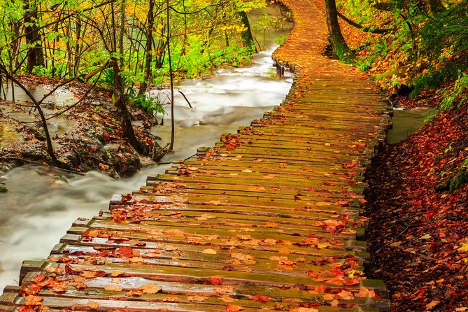 From Zagreb: Plitvice Lakes guided tour - Four hours among Plitvice’s lakes and falls