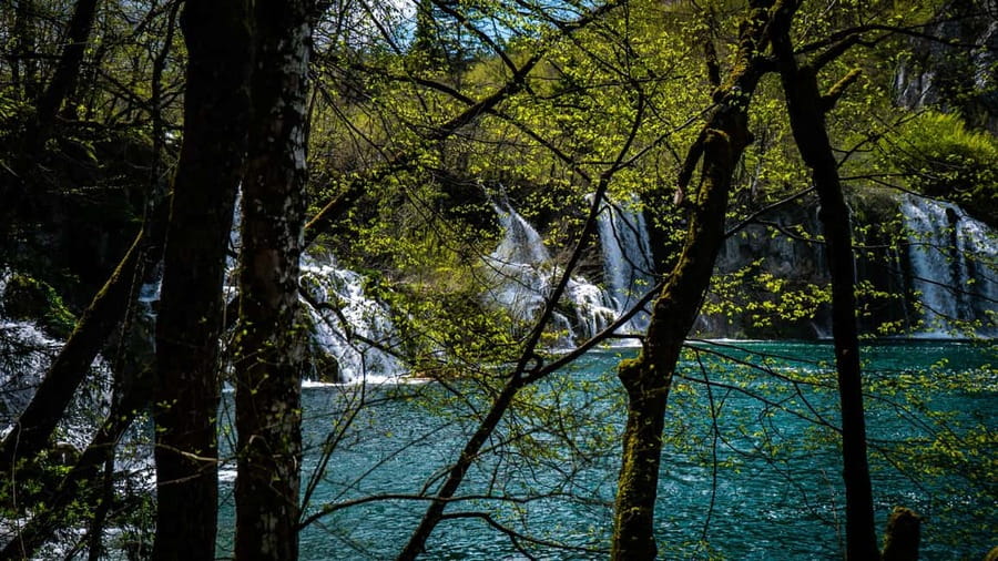 From Zagreb: Plitvice Lakes National Park Full-Day Tour - The restaurant stop and the long ride home