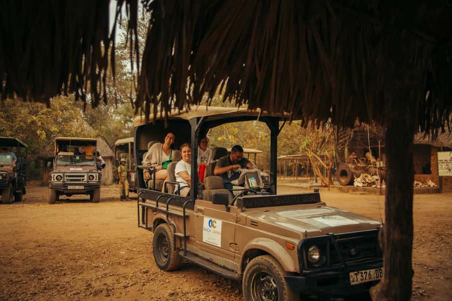 From Zanzibar: Day Selous Game Reserve Safari with Flights - Why this Zanzibar safari is worth considering