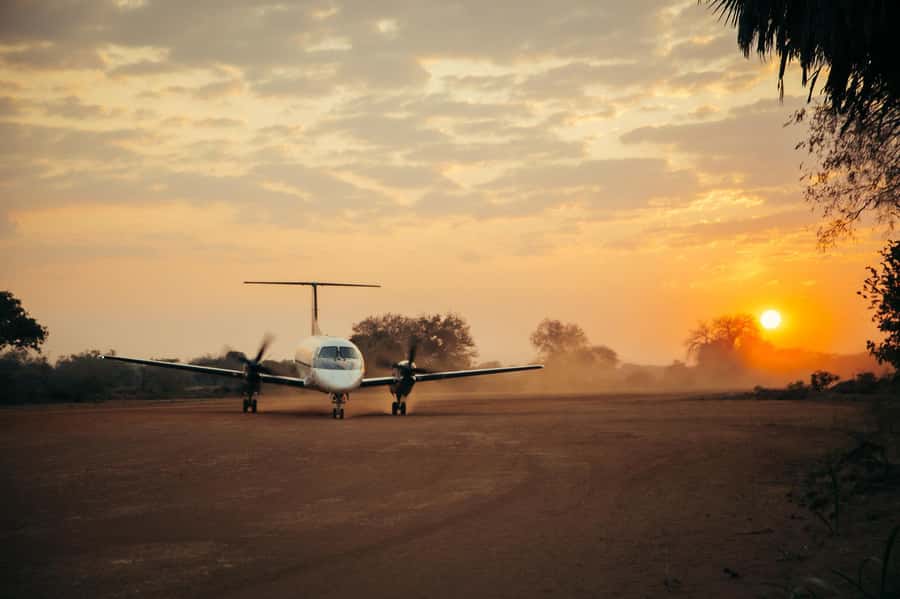 From Zanzibar: Day Selous Game Reserve Safari with Flights - What you might see during the game drive