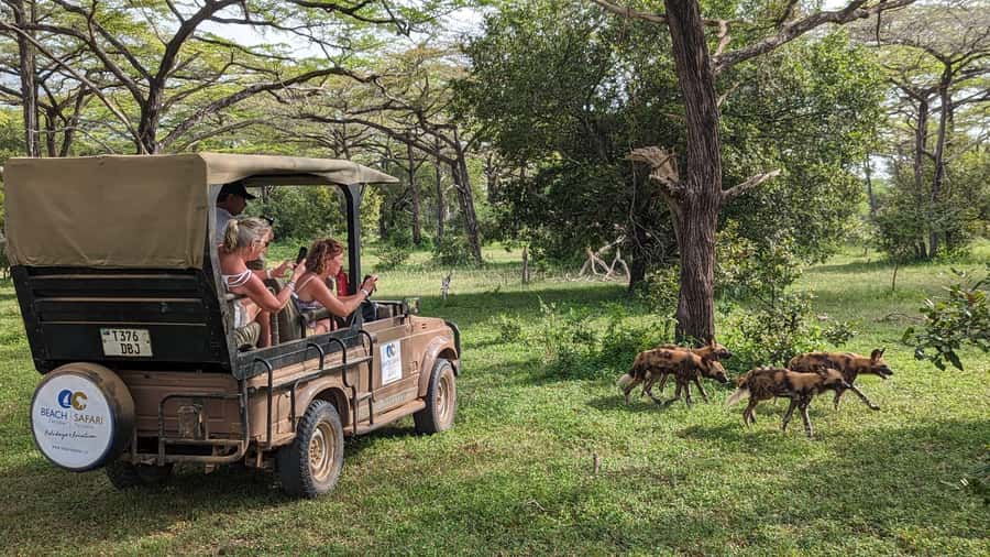From Zanzibar: Day Selous Game Reserve Safari with Flights - The early pickup and flight from Zanzibar
