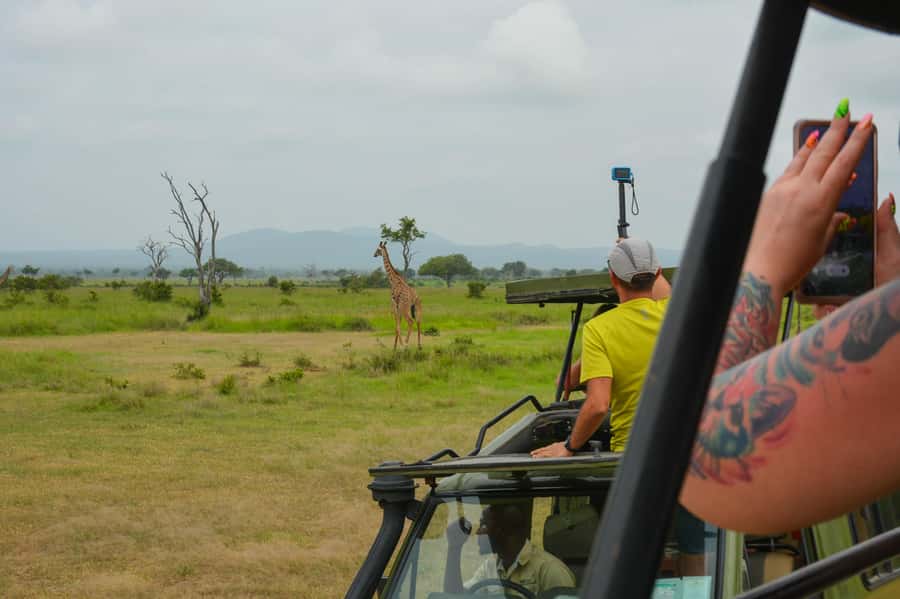 From Zanzibar: Mikumi National Park Guided Safari - What the $550 price really covers