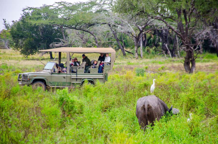 From Zanzibar: Mikumi National Park Guided Safari - Who will enjoy this safari most