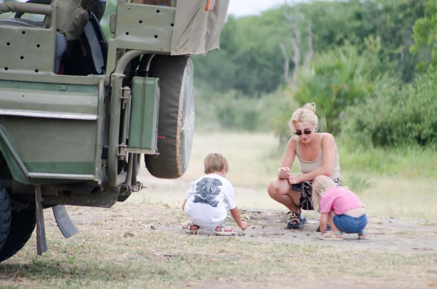 From Zanzibar: Mikumi National Park Guided Safari - Communication, language, and organization