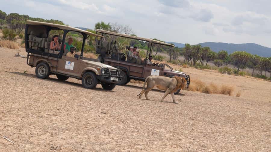 From Zanzibar: Mikumi Safari Day Trip with Flights and Meal - Weather, cancellations, and practical preparation