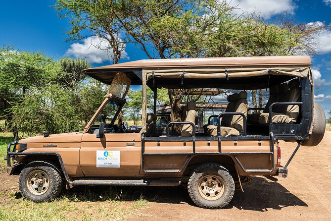 From Zanzibar: Mikumi Safari Day Trip with Flights and Meal - A proper bush lunch around 13:00