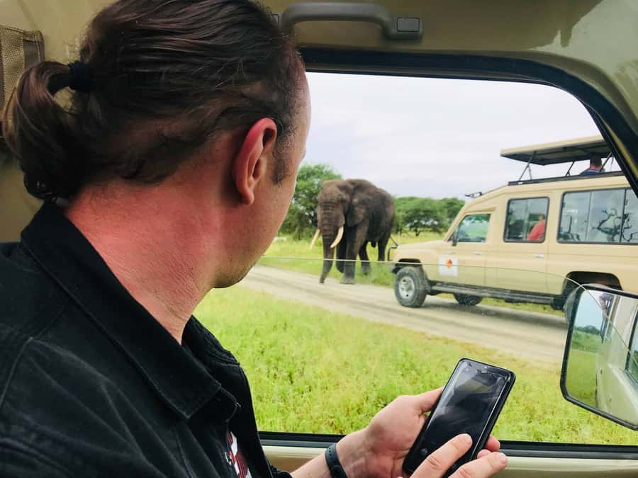 From Zanzibar: Nyerere National Park Game Drive with Lunch - The value of a $550 day trip