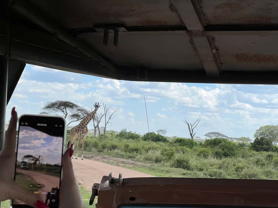 From Zanzibar: Nyerere National Park Game Drive with Lunch - The guide can shape the whole experience