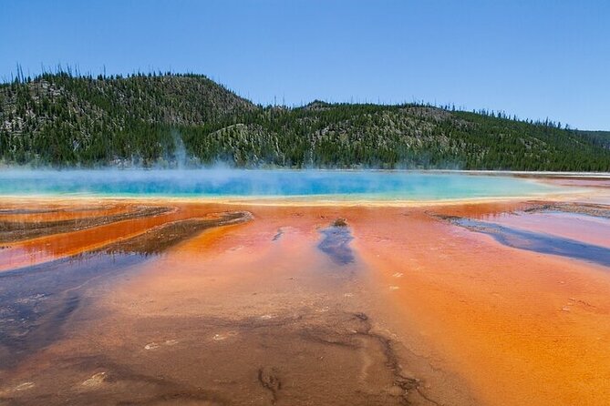 Full Day Best Of Yellowstone National Park Tour From Big Sky - Why this Big Sky Yellowstone tour works