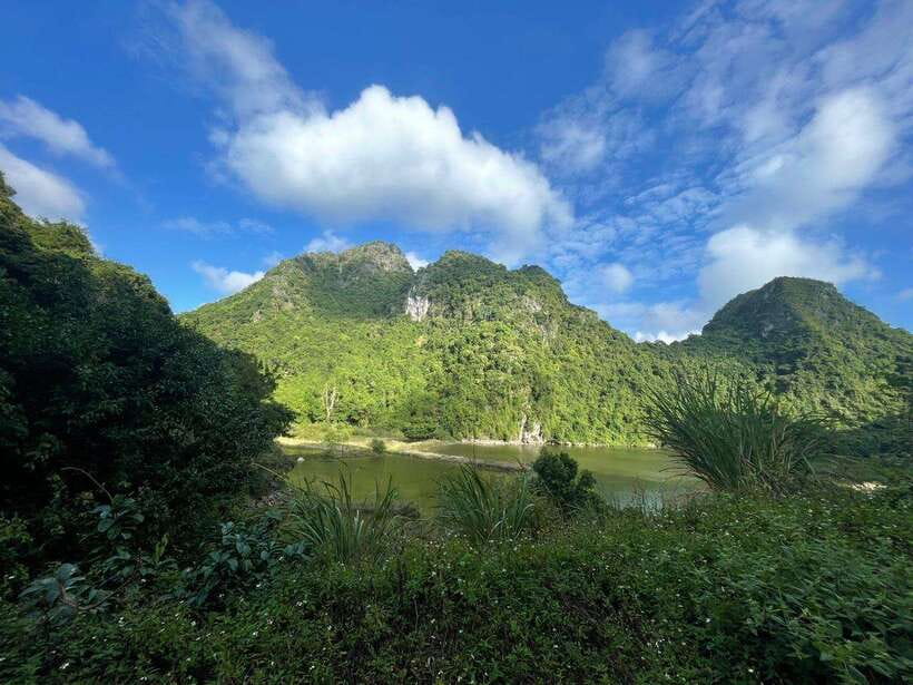 Full day hike - climbing in Jungle of Cat Ba National park - Frog Pond and the Va Nuoc trees