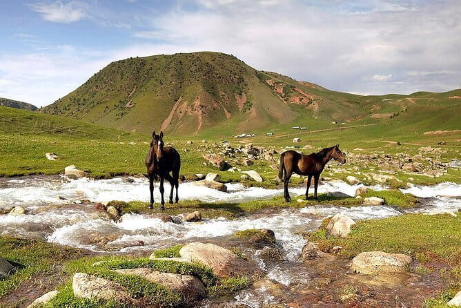 Full Day in Nature at Chunkurchak and Ala Archa National Park - Who will enjoy this day most