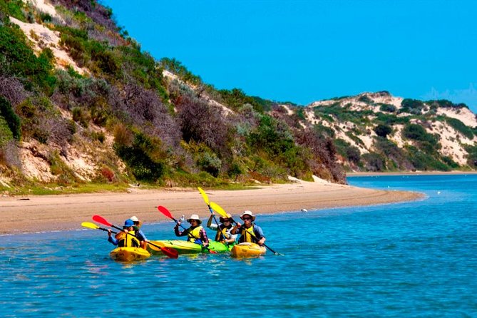 Full Day Kayaking Tour in Coorong National Park - Why this Coorong day feels different from a short kayak trip