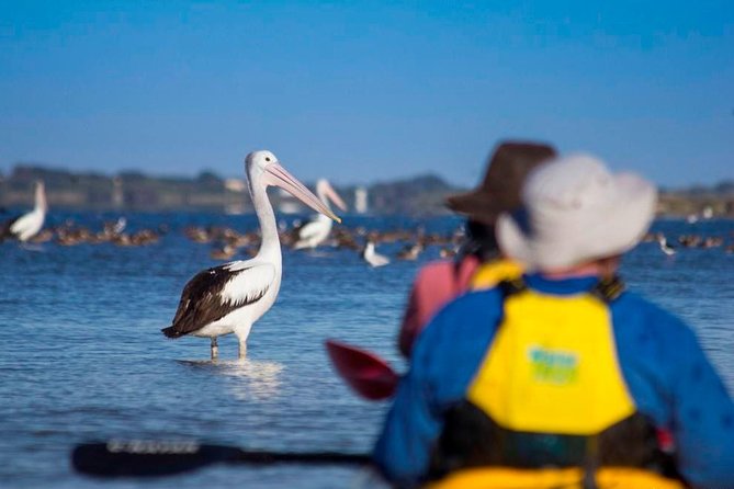 Full Day Kayaking Tour in Coorong National Park - Crossing Young Husband Peninsula on foot