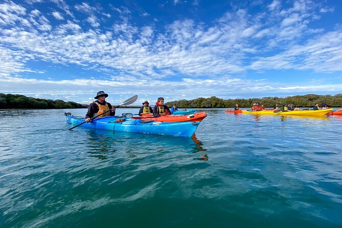 Full Day Kayaking Tour in Coorong National Park - Reaching the Southern Ocean and Murray Mouth