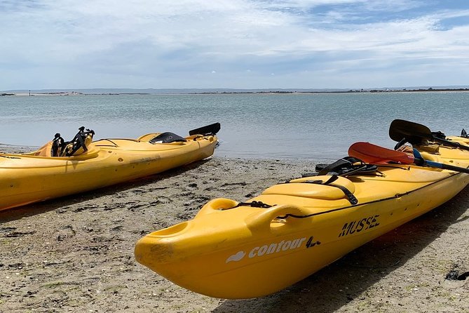 Full Day Kayaking Tour in Coorong National Park - What to bring and how hard the day is