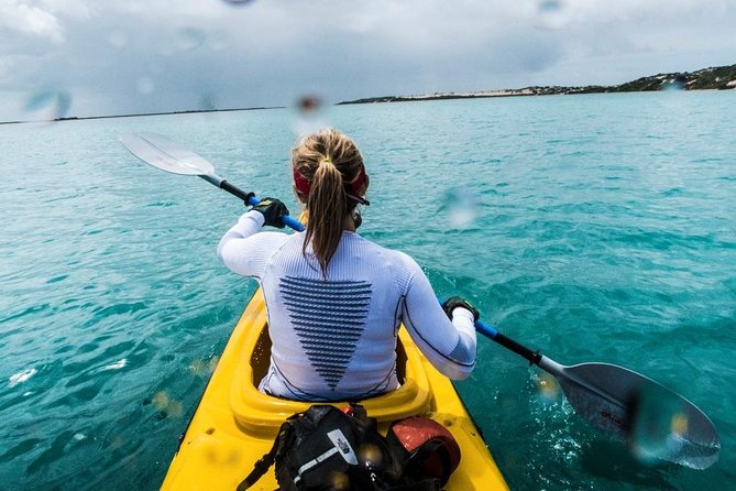 Full Day Kayaking Tour in Coorong National Park - Morning tea, lunch, and the value of a $39 day