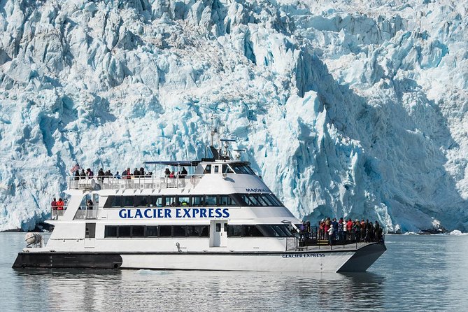 Full-Day Kenai Fjords National Park Cruise - Holgate Glacier and Aialik Glacier
