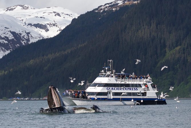 Full-Day Kenai Fjords National Park Cruise - The Gulf Crossing and Seasickness Question