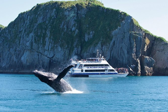 Full-Day Kenai Fjords National Park Cruise - Bear Glacier From the Water