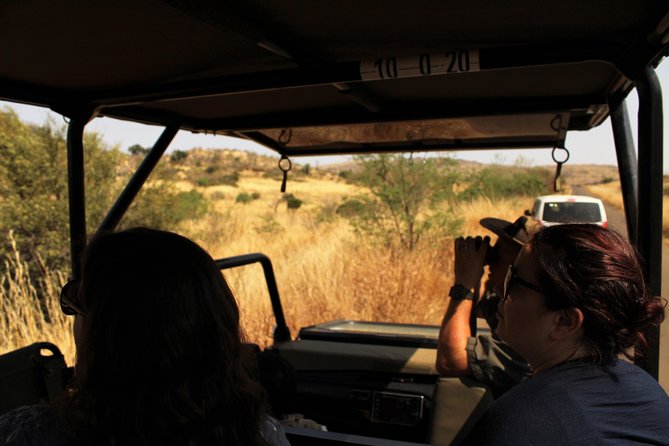 Full Day Pilanesberg Experience in Open Vehicle - Key points before you book