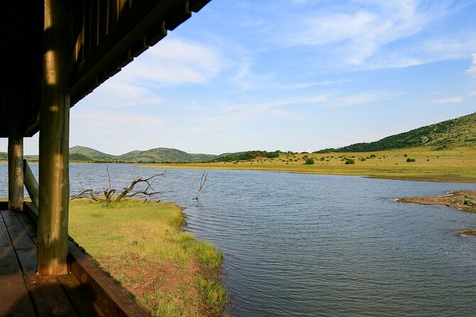 Full Day Pilanesberg Experience in Open Vehicle - A full safari day from Johannesburg