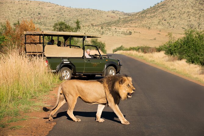 Full Day Pilanesberg Experience in Open Vehicle - Lunch at the reserve