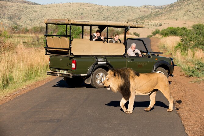 Full Day Pilanesberg Experience in Open Vehicle - The afternoon drive in a closed vehicle