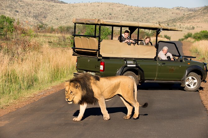 Full Day Pilanesberg Experience in Open Vehicle - Who should choose this safari