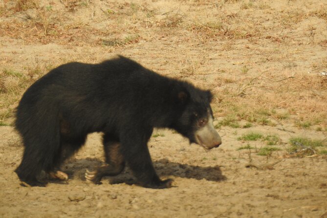Full day Safari - Yala National Park - 04.30 am to 06.00 pm with - Janaka safari - Breakfast, lunch, and the midday break