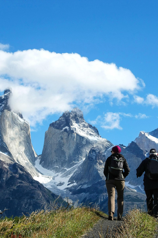 Full-Day Torres del Paine National Park from El Calafate - Pehoe Lake and the best views of the day