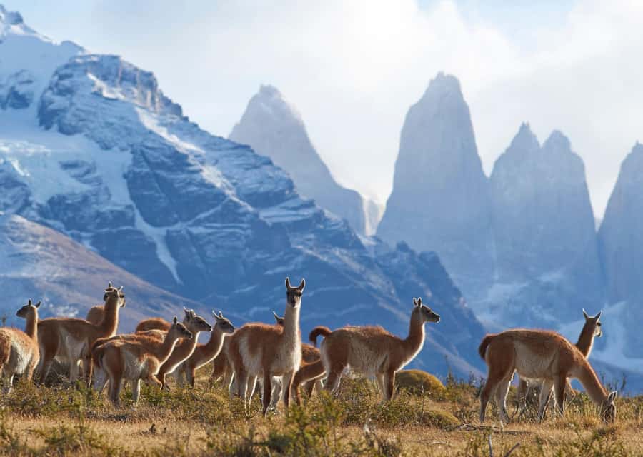Full-Day Torres del Paine National Park from El Calafate - The early ride toward the Chilean border